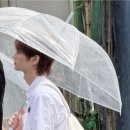 골드투어스 이미지