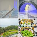 거제도 여행 코스 거가대교 휴게소 거제 지심도 횟집 추천