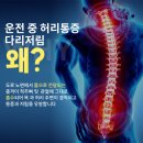 태사랑 태권도장(운동치료) | [협찬] 운전할 때마다 허리 통증 쿠션 하나 바꿨을 뿐인데… 남편의 통증이 사라졌어요
