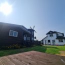 천수만회타운 | 서산독채펜션 찾다가 발견한 힐링 숙소, 솔숲 속 감성 숙소 펜션파인씨 솔직후기