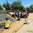 독산유치원 이미지