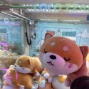 토피아인형뽑기 이미지