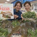 봄마트 이미지
