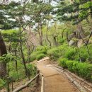 동천6호 이미지