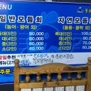 돌고래회수산 이미지