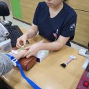 더보이스 이미지