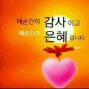 감사의 힘 이미지