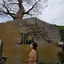 추자한의원 이미지