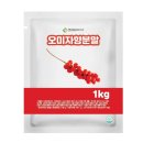 엔트