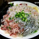 영덕물회 이미지