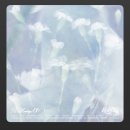 멍털도둑 | Our Own Summer