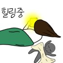 금정문화회관 은빛샘홀 이미지