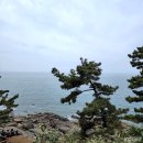 [충남/보령/죽도] 한국식 전통정원, 상화원