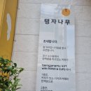탱자나무431 이미지