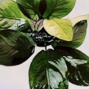 (주)후경 이미지