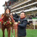 제이에스초이스 이미지