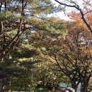 함허동천(제3야영장) 이미지