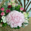 메리엘산부인과 이미지