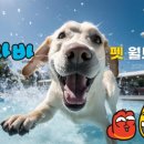 라바호텔 이미지
