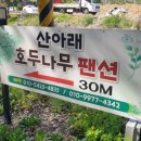 호두나무펜션 이미지