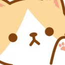 마켓박스 이미지