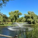 용산기지 옛 미군장교숙소(현 용산공원) 이미지