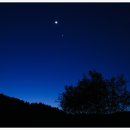 신황진이야 이미지