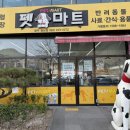 주정차062 | 전남 펫마트 광주월남점 방문후기