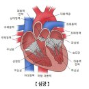 지나치지 마시고 必讀(필독) 하십시요. 이미지