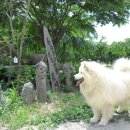 산아래민박 이미지