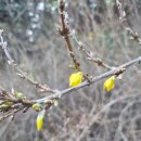 해파랑길26코스[251214] 이미지