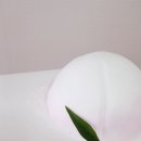 러블리슈케이크