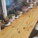 그린하우스 이미지