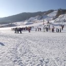 한화리조트/평창 이미지