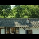 리틀포레스트 이미지