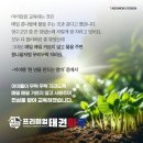 마루태권도 이미지