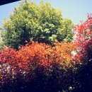 햇빛반찬 이미지