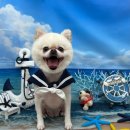 까까멍멍 이미지