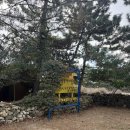 노을빛언덕 | ✅ 여수 언덕에 바람 카페 방문 후기｜가보기 전 꼭 알아야 할 7가지