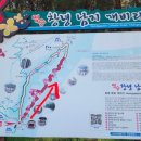 죽림2로가로수 이미지