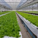 농축산농장 이미지