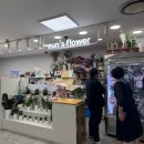 은스플라워