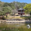 안동민속촌 이미지