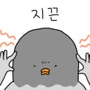 보리마루1