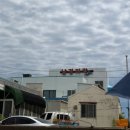 용머리횟집 - 통영시 본촌길 21 | [공지] 제주 자연산 횟집 남경미락 후기[내돈]