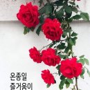 오늘도 이미지