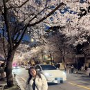 고우 합정점 | [연희동카페, 벛꽃구경] 연희동 카페 마, 에스프레소 바, 폴앤폴리나