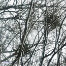 서리풀공원 이미지