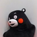 마몽 이미지