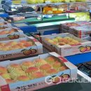 옥천군 농산물산지유통센터 이미지